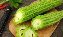 免费吃瓜下载40米,畅享无限瓜果盛宴